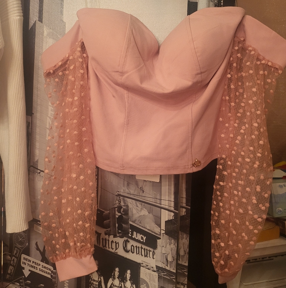 Muy Muy  Blush Pink Top with Detacgable Sheer Sleeves